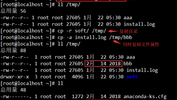 linux  cat命令详解