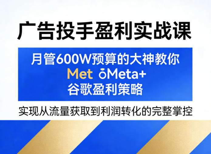 广告投手盈利实战课，月管600W预算的大神教你Meta+谷歌盈利策略，实现从流量获取到利润转化的完整掌控